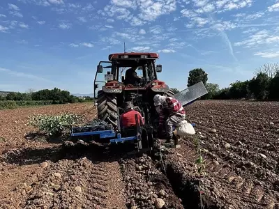 Innovación en el Cultivo de Peras: Un Modelo Experimental en La Rioja