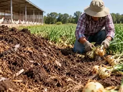 El abono avícola y la persistencia de E. coli en el suelo