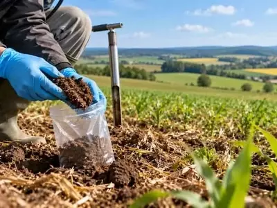 Alemania Lidera la Vigilancia Agrícola: Un Modelo para Europa