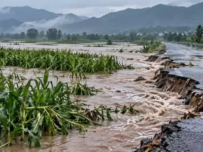 Investigación Revela Vulnerabilidad Agrícola China ante Lluvias Extremas