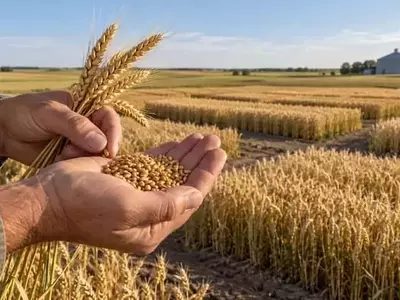 Canadá Reorganiza la Producción de Semillas: Un Enfoque Estratégico para el Futuro Agrícola
