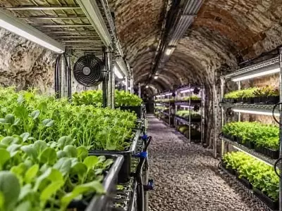 España Transforma Mina Abandonada en Laboratorio Agrícola Subterráneo