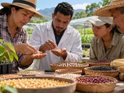 Venezuela Impulsa la Producción de Semillas con Colaboración de la FAO