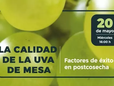 Guía Integral para la Conservación Postcosecha de la Uva de Mesa