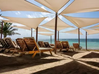 Refugio Fresco: Soluciones Creativas para Sombrear tu Jardín sin Obras Permanentes