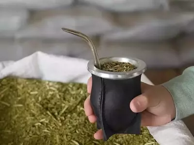 Argentina: Clarificación de las Regulaciones del Glifosato en la Producción de Yerba Mate