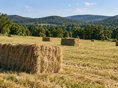 Duplicación de la Producción de Heno en una Granja de Misuri Mediante Regeneración del Suelo