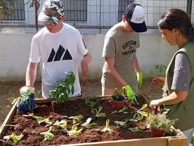 Cultivando el Futuro: Huertos Escolares para una Educación Integral y Sostenible