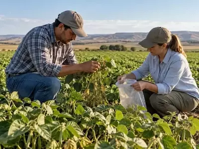 Descubiertas Nuevas Especies de Trips en Cultivos de Frijol en EE. UU.
