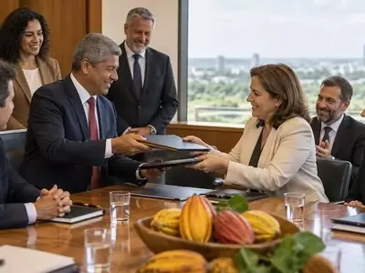 Brasil implementa sistema innovador para prever la cosecha de cacao en Bahía