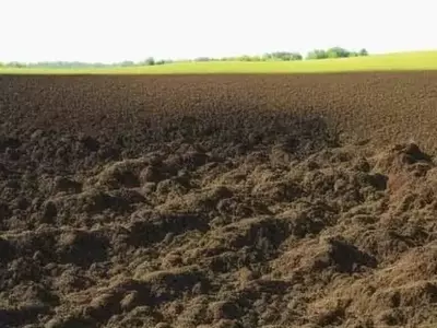 Venezuela: Desaprovechado potencial agrícola en medio de desafíos estructurales