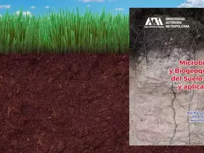 Microbiología y Biogeoquímica del Suelo: Pilares para la Sostenibilidad Global