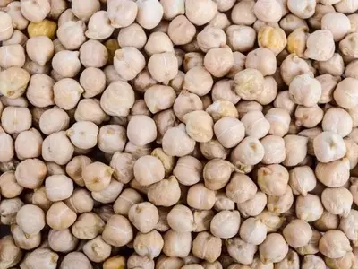 Estrategias innovadoras para la protección del garbanzo australiano frente a las altas temperaturas