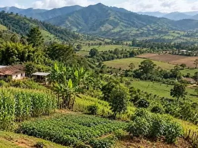 Reducción de Tierras Cultivadas en Pradera, Colombia: Un Análisis de la Universidad Nacional