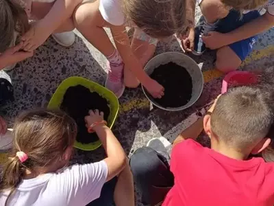 Iniciativa de Huertos Escolares Revitaliza la Educación Ecológica en Vinaròs