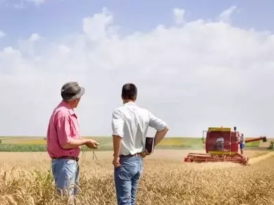 La Producción Agrícola Europea se Desacelera Frente a Potencias Mundiales