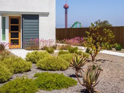 Cómo Crear un Jardín de Bajo Mantenimiento: Guía Práctica para un Oasis Sostenible