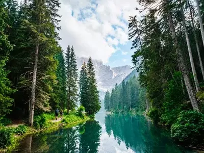 La Bioeconomía Forestal: Un Modelo Sostenible para el Futuro