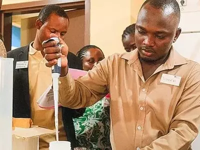 Tanzania implementa innovadora prueba rápida para detectar la devastadora enfermedad del añublo del trigo