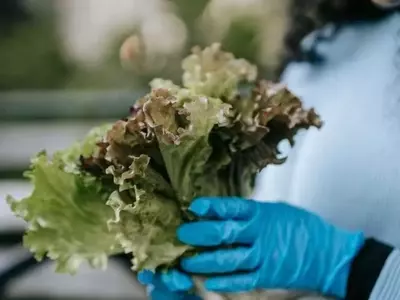 Innovaciones Tecnológicas Revolucionan la Detección de Patógenos Alimentarios