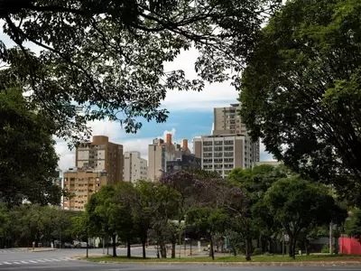 La gestión integral de la vegetación urbana: un enfoque hacia la sostenibilidad