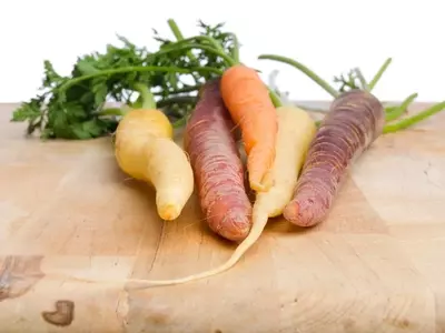 Descubriendo la paleta de colores de las zanahorias: variedades, beneficios y cultivo en casa