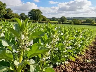 Inglaterra impulsa la agricultura ecológica: duplicar la superficie y capitalizar un mercado en crecimiento