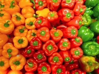 El Enigma del Pimiento: Cómo el Color Revela su Dulzura y Valor Comercial