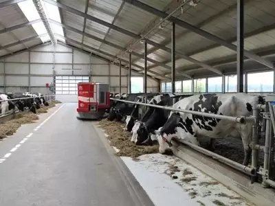 Innovación Ganadera: Microorganismos Reducen Emisiones del Estiércol Bovino