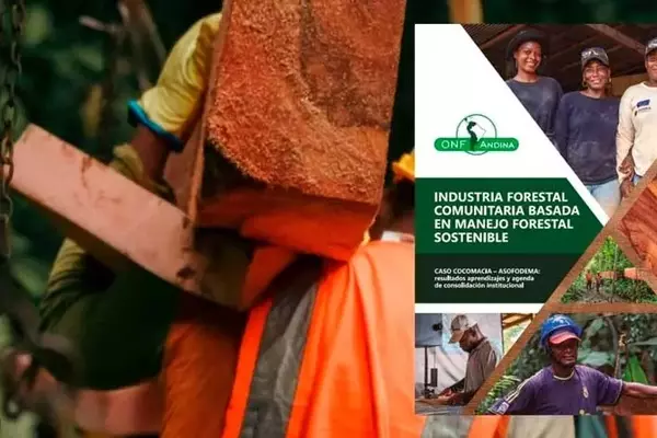 Innovación Forestal Comunitaria en el Atrato: Sostenibilidad y Progreso