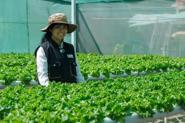 Mendoza Impulsa la Hidroponía con un Centro de Innovación
