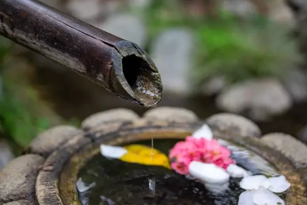 Diseñando Jardines Sensoriales: Una Guía Completa del Paisajismo Sonoro