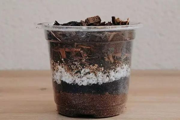 Plantil World: Innovación en Sustratos y Sistema de Riego para Plantas Tropicales