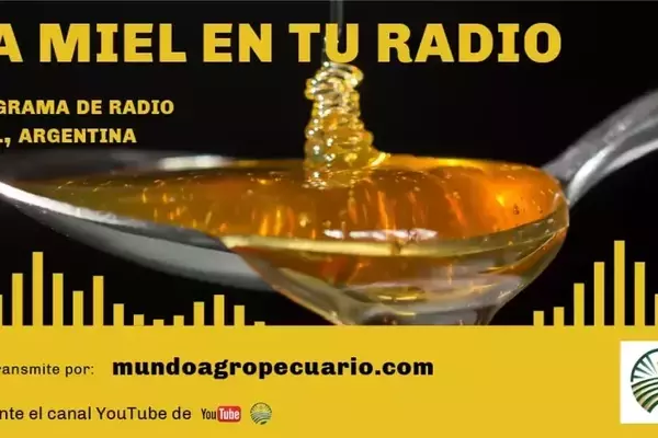 «La Miel en tu Radio»: Un Análisis Detallado de la Apicultura, el Medio Ambiente y el Desarrollo Local