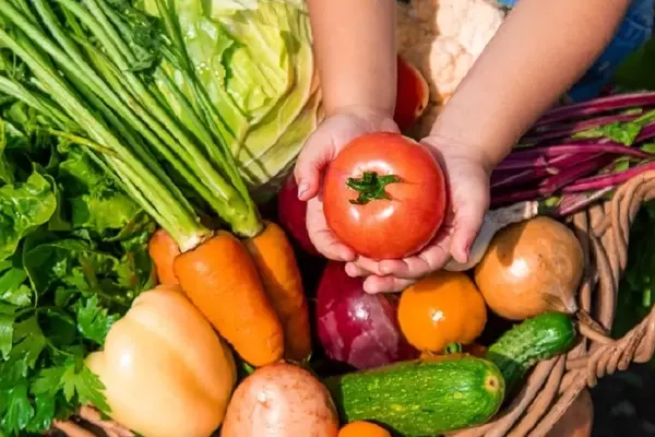 Guía Definitiva para el Cultivo de Hortalizas de Raíz en Otoño e Invierno
