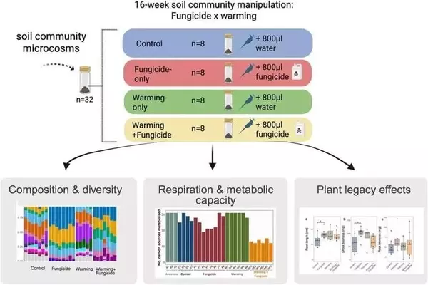 Fungicidas Agrícolas Potencian la Resistencia Microbiana y Afectan la Salud del Suelo