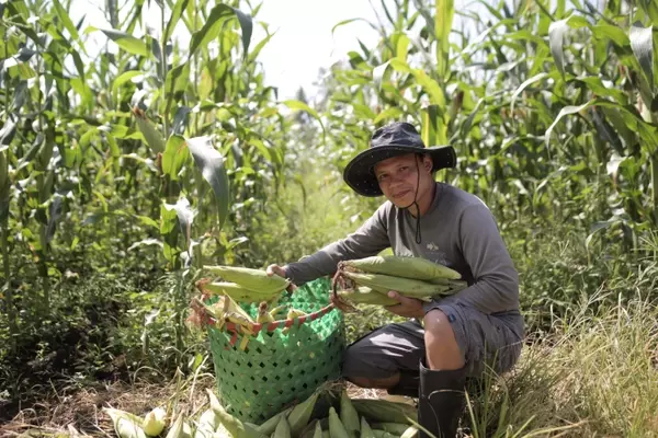 De jornalero a líder agrícola: La inspiradora trayectoria de Rubisper Udal