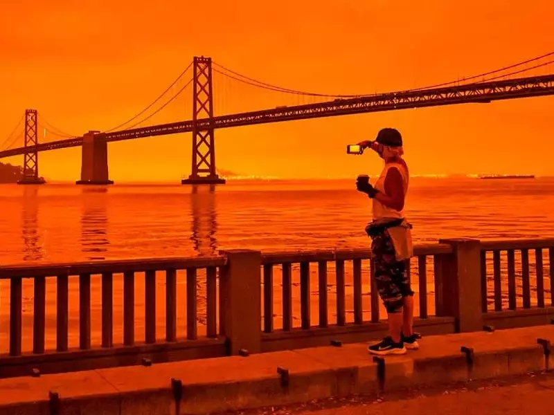 El Impacto Económico del Humo de Incendios Forestales: Un Análisis Profundo