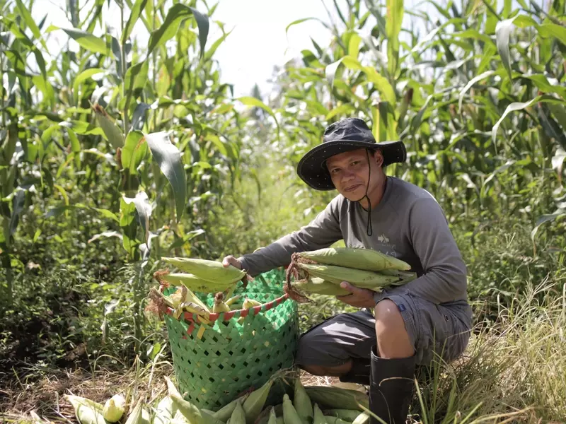 De jornalero a líder agrícola: La inspiradora trayectoria de Rubisper Udal